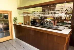 Hotel VÍTKOVA HORA - Restaurant