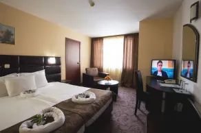 Zdravets SPA Hotel - Room