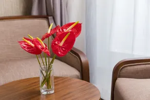 Sea Pearl Hotel - Chambre