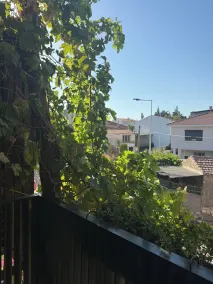 Void Urla - View from room