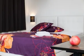 Pansion Preza - Habitación