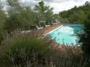 Agriturismo "Crocino in Chianti" - Pool