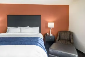 Comfort Inn Wings Stadium - Chambre