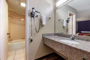 Econo Lodge Sebring - Salle de bain