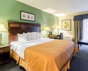 Rodeway Inn & Suites Williamsburg Central - Chambre