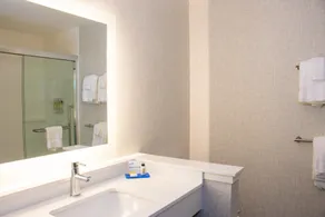 Holiday Inn Express & Suites Tuscaloosa East by IHG - Salle de bain