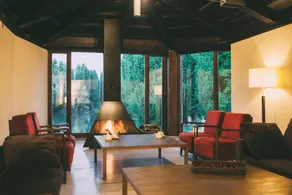 Fuente Aceña Hotel Boutique - Stue