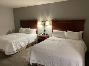 Hampton Inn & Suites Rifle - Chambre