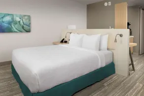 Hilton Garden Inn Orlando Downtown - Chambre