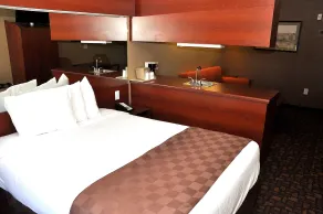 Microtel Inn & Suites by Wyndham Lithonia/Stone Mountain - Chambre