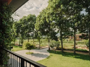 Lopota Lake Resort & Spa - View from room