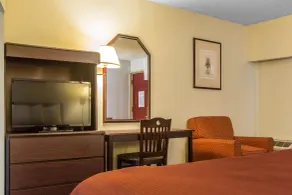 Rodeway Inn Marietta near Dobbins ARB - Chambre