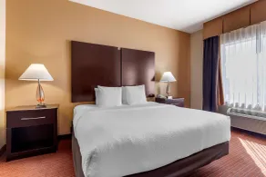Best Western Plus DFW Airport West Euless - Chambre
