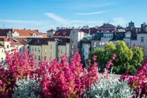 Art Hotel Prague - Vue de la chambre