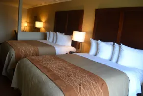 Comfort Inn & Suites Houston West-Katy - Chambre
