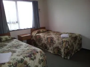 Ace High Motor Inn - Room