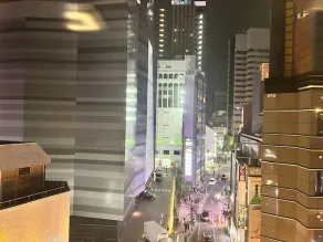 APA Hotel Shinjuku Kabukicho Chuo - Vue de la chambre