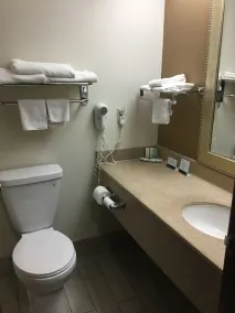Quality Inn Arcola - Badeværelse
