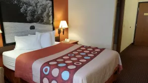 Super 8 by Wyndham Waverly - Rom