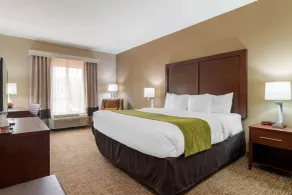 Comfort Inn & Suites Griffin North - Chambre