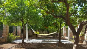 Masseria Borgo San Marco - Vistas desde la habitación