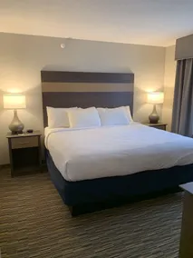 Little Crow Hotel & Conference, Trademark by Wyndham - Rum