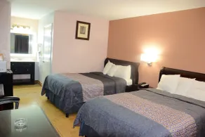 Flamingo Motel - Chambre