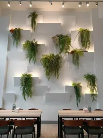 Meet Secret B&B - Restaurant