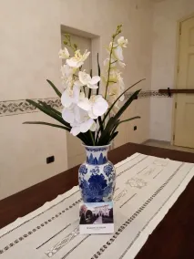 B&B Residence il Ciliegio , Via Villa Superiore 93 Luzzara - Reception