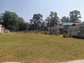 Signum Resort, Umaria - Bandhavgarh - View from room