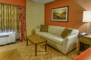 La Quinta by Wyndham Pigeon Forge - Room