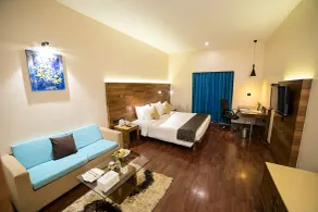 The Orchid Hotel Hinjewadi Pune - Room