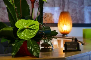 Logis Hotel Epi d'Or - Resepsjon