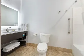 Wyndham Garden Appleton - Salle de bain
