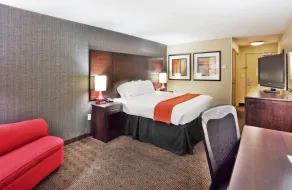 Holiday Inn Express Hotel & Suites Atlanta-Cumming by IHG - Chambre