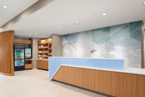 SpringHill Suites by Marriott Roanoke North - Réception