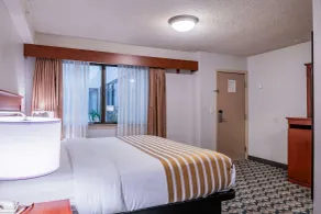 Best Western Vista Inn at the Airport - Chambre