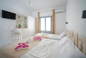 Dodomar Selections - Quarto