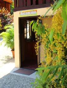 Hotel Alkamar - Réception