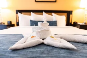 Carlsbad Inn Beach Resort Hotel - Room