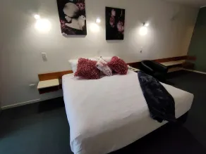 Ayr Traveller's Motel - Room