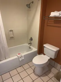 Econo Lodge San Antonio South - Salle de bain