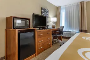 Quality Inn Dover - Room