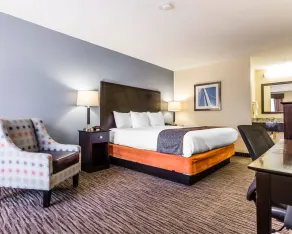 Quality Inn Mt Pleasant - Charleston - Værelse