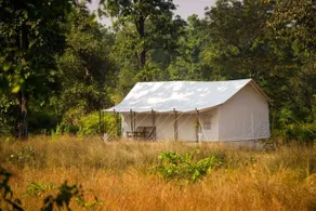Umaria Safari Camp -Kanha National Park - Room