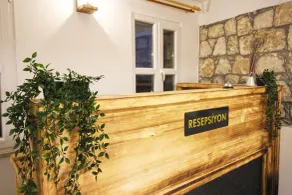 Onal Tas Konak - Reception