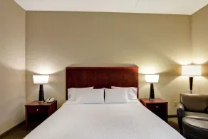Hampton Inn Sayre - Room