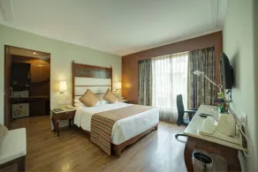 Goldfinch Hotel Bangalore - Room