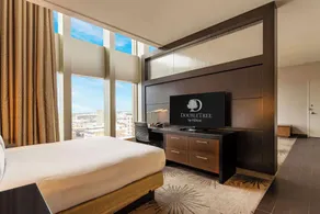 Doubletree by Hilton Cedar Rapids Convention Complex - Chambre