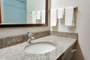 Drury Inn & Suites Greenville - Salle de bain